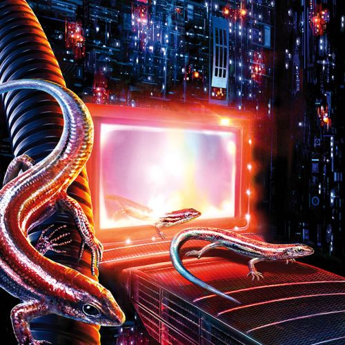 Number Thirty Nine Skink